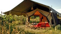 Masai Mara Game Reserve Safari Tour, 4 Days 3 Nights