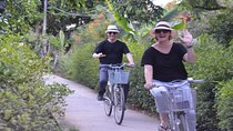 Mekong Delta deluxe group day trip