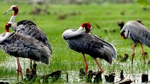 3-day group tour from Saigon to Phnom Penh