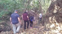 Private One Day Exploration at Thousands of Linga, Kbal Spean and Lady Temple