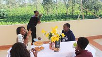 Coffee farm tour, coffee roasting and tasting experience