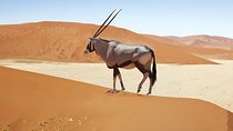 4 day Sossusvlei and Swakopmund Lodging