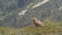 4 days in Pirin: Where the Slavic gods still live