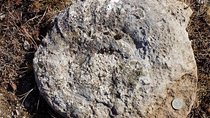 From Sofia: Walking tour over the Jurassic sea