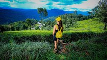 Overnight All-Inclusive Tea Plantation Adventure in Kandy