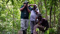 Guided Nature Trail to Kanneliya Forest