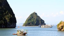 Halong Bay Cruise Day Trip: Titop island, Surprise cave, Swimming, Kayaking