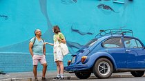 Off the Beaten Track in Cape Town: Private City Tour