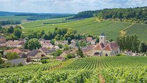 Champagne Tour