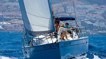 Tenerife 3-Hour Discover Whales and Dolphins