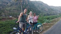 Local Bicycle Tours Jogjakarta