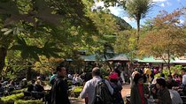 Private tour: Tokyo's Oldest Sake Brewery and riverside walk.