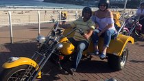 Eastern Sydney Panorama trike tour