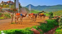 Private Atlas Mountains Day Trip