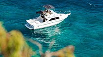 Fishing trip, Tenerife Sea Passion