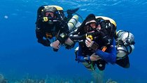 Professional Scuba Diving Boat Trip With Lunch and Transfer – Hurghada 