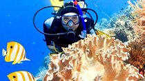 PADI Advanced Diving Course With Transfer and Lunch - Hurghada