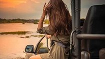 Day Trip to Udawalawe From Colombo (Transfer only)