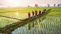 Bali Sambangan Waterfall, Rice Field, Secret Garden Tour