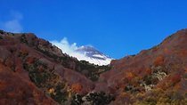 Best Of Sicily Shore Excursion: Etna, Taormina, Castelmola - 10 Persons Max