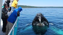 2 Day Tour to Bentota & Whale Watching From Colombo
