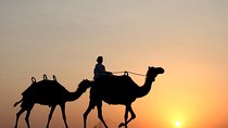 Morning Camel Trekking Experience
