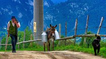 Old villages in the Carpathian Mountains & Libearty Brown Bears Sanctuary