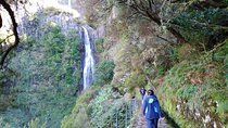 The Fantastic Cascades