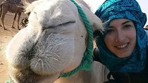 4 Days From Fez To Marrakech Desert Tour