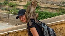 Jaipur Temples and Spiritual Sites Private Tour