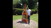Explore Montego Bay Jamaica to Country Side Appleton & Y S Falls