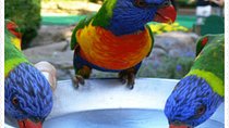  Bird Sanctuary and animal farm Day Tour 