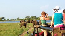 Polonnaruwa Ancient City and Wildlife Safari from Colombo