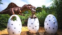Beautiful Indonesia Miniature Park Tourism ( TMII )