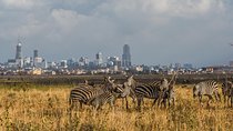Early Nairobi Park Giraffe Centre and Optional Elephant Orphanage