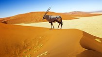 8 day Soss, Swakop, Twyfelfontein and Etosha NP Lodging