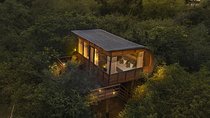 All Inclusive Leopard Nest Luxury Glamping experience in Yala