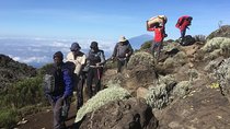 7 Days Lemosho Route