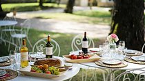 Private wine tour from Bordeaux in the Graves region