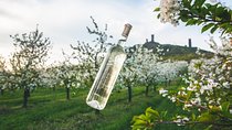 A delightful wine tasting in the scenic countryside with lunch