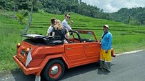 Bali VW Jeep Tour: Rice Terrace, Waterfall, Garden View
