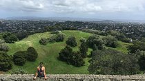 Shore Excursion: Half-Day Auckland Volcanoes Tour
