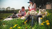 Private PICNIC in Bohemian Vineyards and Wine Tasting 4WD Tour