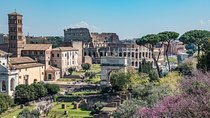 Private Tour of the Colosseum with Roman Forum & Palatine Hill