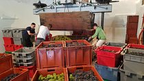 Paris Wine Day Tours exclusive Champagne tour incl. 3 visits
