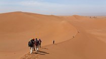 Marrakech to Fez group budget 3-Day desert tour with camel trek