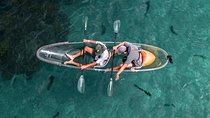 Clearyak hire at Goat Island Marine Reserve