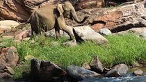 Overnight tour to Gal Oya National Park with Free Transfers to Next Destination
