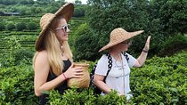 Family Adventure