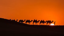Silk Road China
